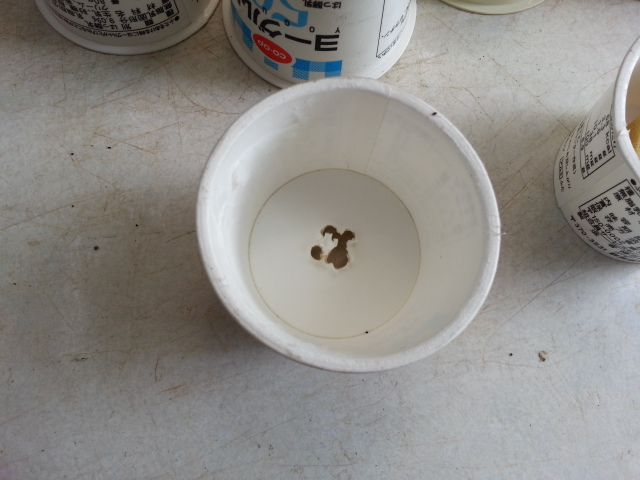 20150603 穴あけ２.jpg