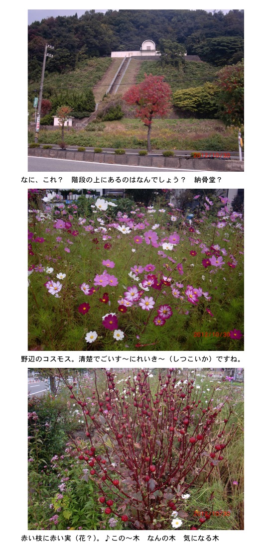 2012.10.31-4.jpg