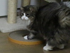5DA_5608-13.jpg