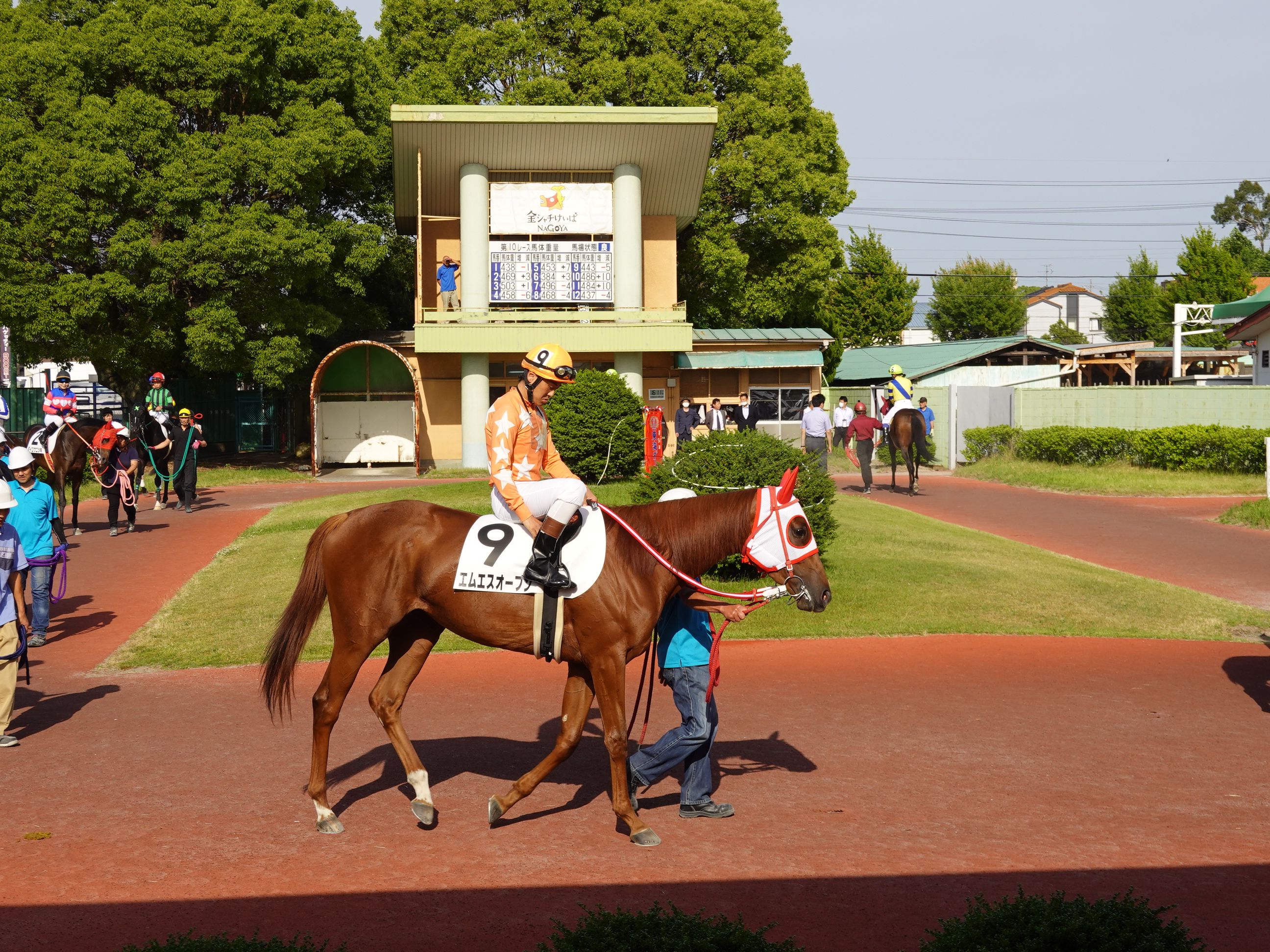 名古屋だより 東海ダービー編 地方競馬の楽天競馬 日替わりライターブログ 楽天ブログ