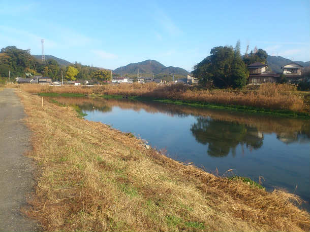 s101.jpg