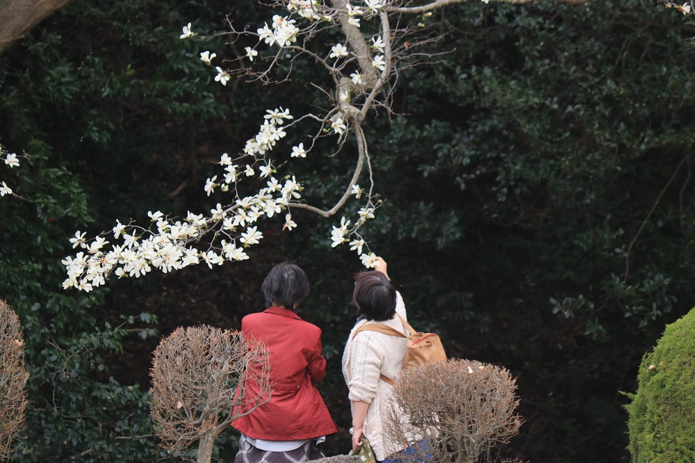 ●IMG_6193　小.jpg