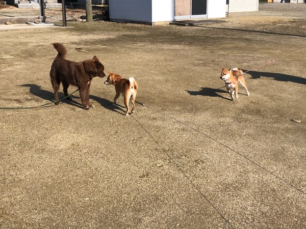 rblog-20190102144530-04.jpg