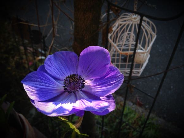 rblog-20141231141432-03.jpg