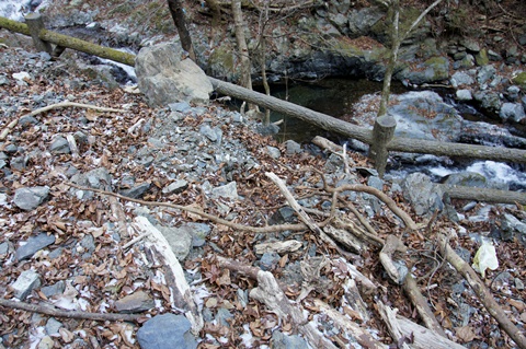 _DSC1988.JPG