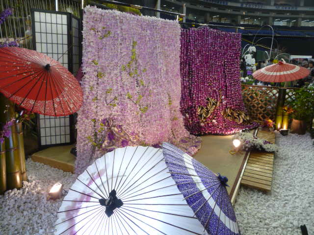 73 世界らん展で