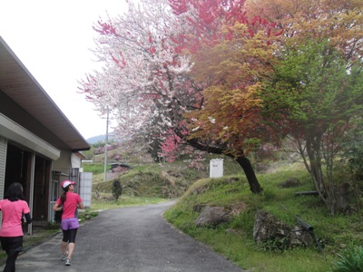 DSC02610.jpg