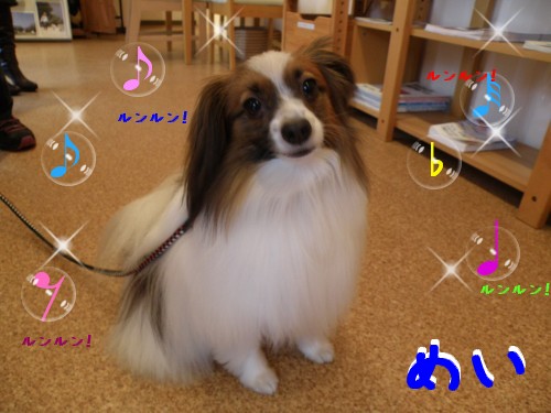 めい.JPG