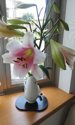 デカ百合3.jpg