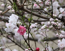 IMG_8116-1.jpg