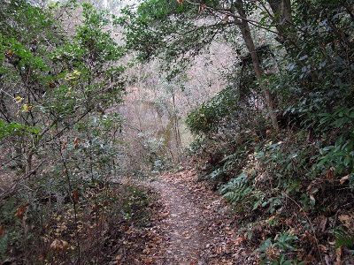 DSCN2625s.jpg