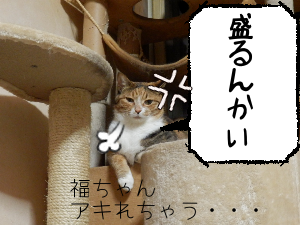 P6140038.png
