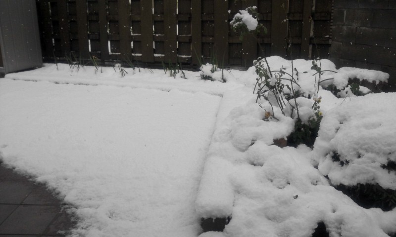 2012-12-10 10:14:12