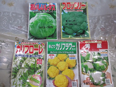 種まき