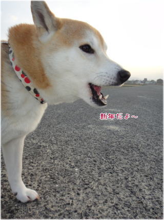 0101朝5.jpg