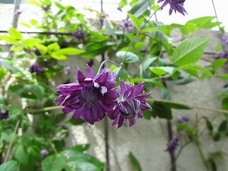 DSC01503.jpg