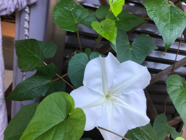 rblog-20180928162640-00.jpg