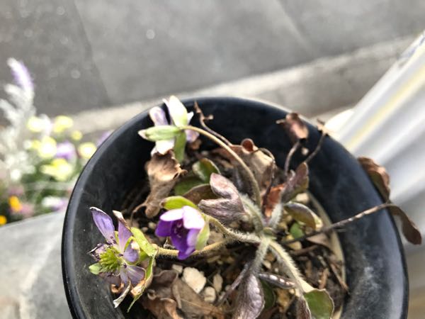 rblog-20190324174614-01.jpg