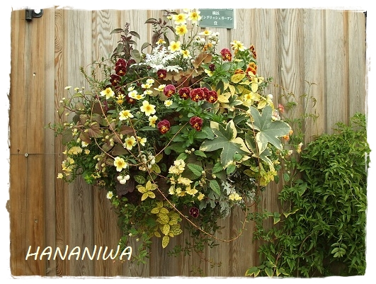 2012_1104トレッサ用寄せ植えとクレマチスの講座とカ0008.JPG