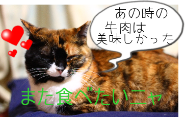 IMG_0649.png
