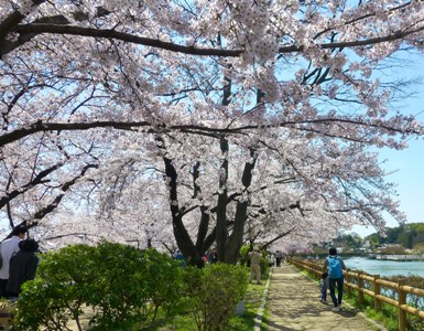 P1010523.JPG