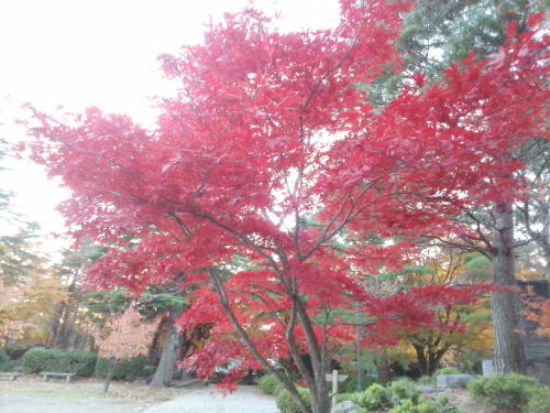 寺家公園