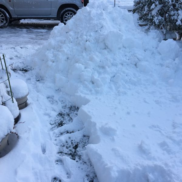 rblog-20180123075304-04.jpg