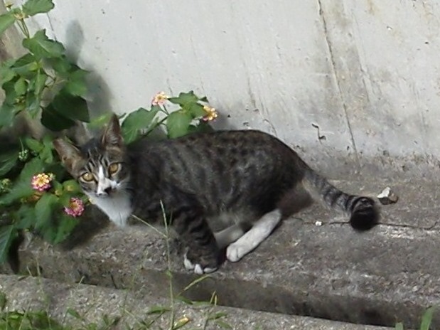 DCIM0113.JPG
