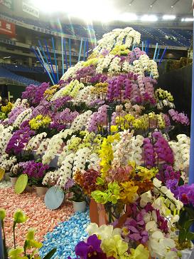 IMG_3142m.JPG