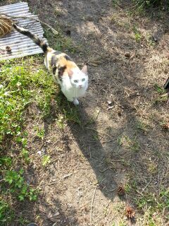 rblog-20140601202242-00.jpg