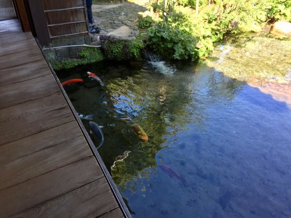 rblog-20170930175852-02.jpg