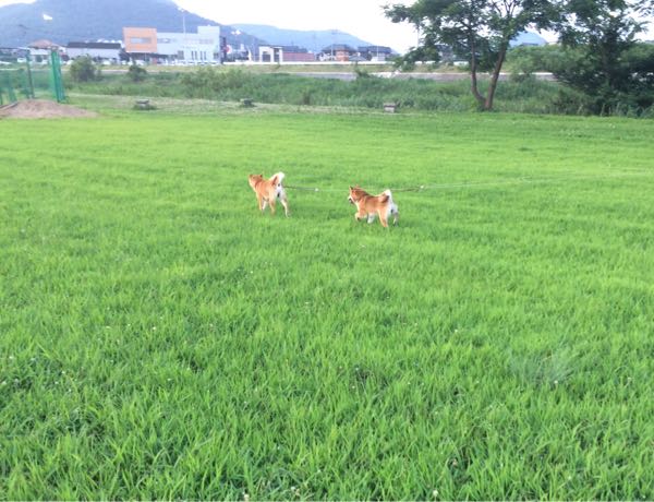 rblog-20160722094108-02.jpg
