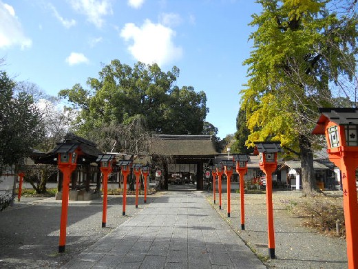 2015-11 平野神社参道と表門.jpg