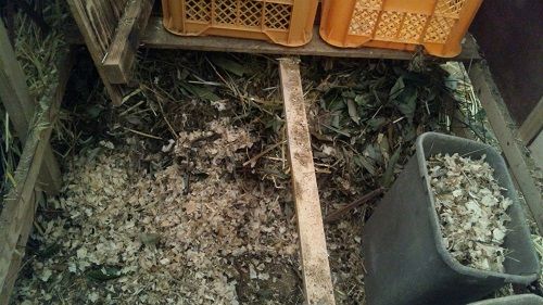 ヤギ小屋掃除 | ベルのにわ ～ヤギ販売と里親募集～ - 楽天ブログ