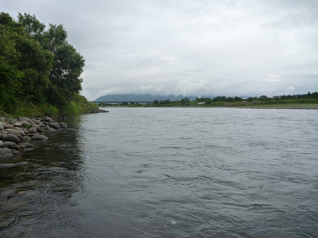 resize0009.jpg