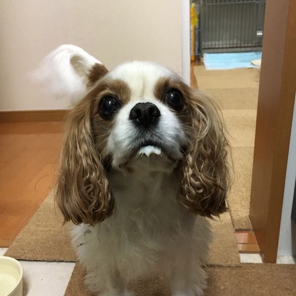 rblog-20161230193436-01.jpg