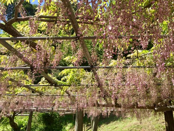 rblog-20180504233124-06.jpg