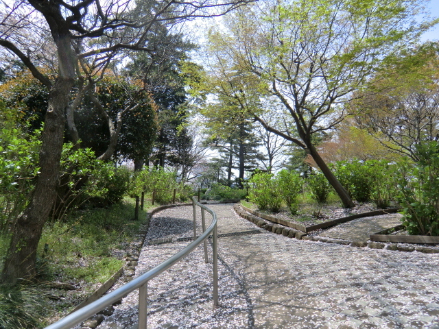 画像 46060.jpg
