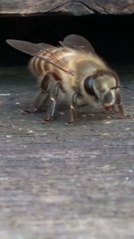 CAM00211.jpg
