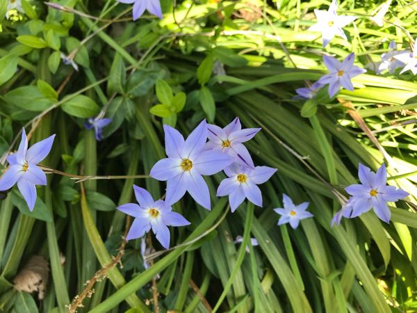 rblog-20180409192833-06.jpg