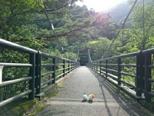 rblog-20160904203735-03.jpg