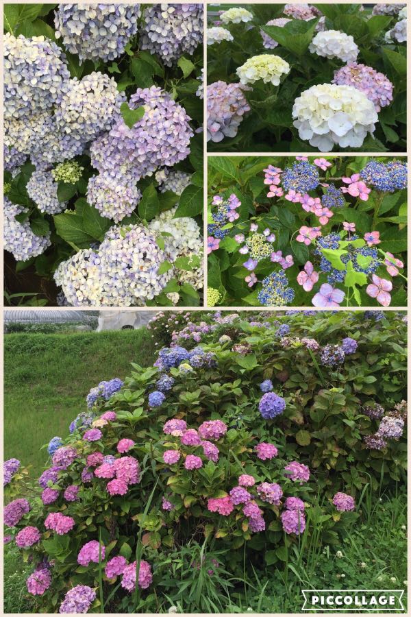 rblog-20160701213715-02.jpg