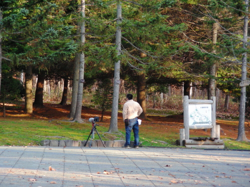 2017-10-28mori (1).JPG