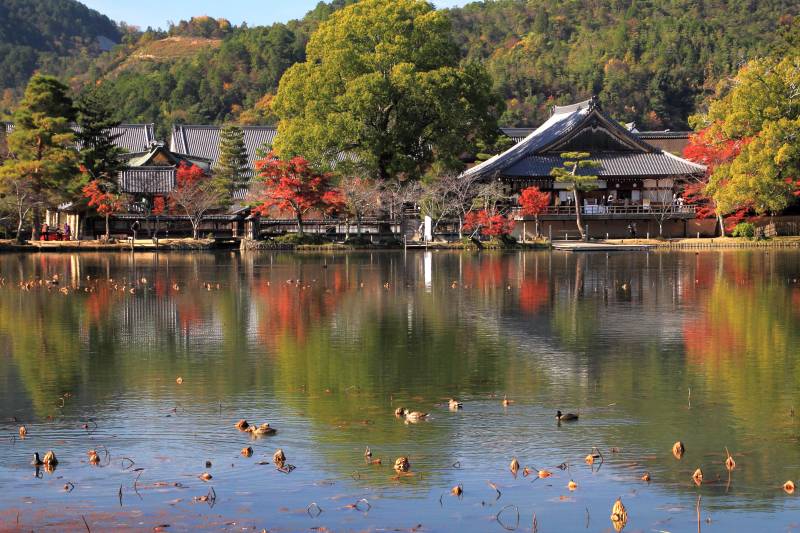 大沢池_008五大堂.jpg