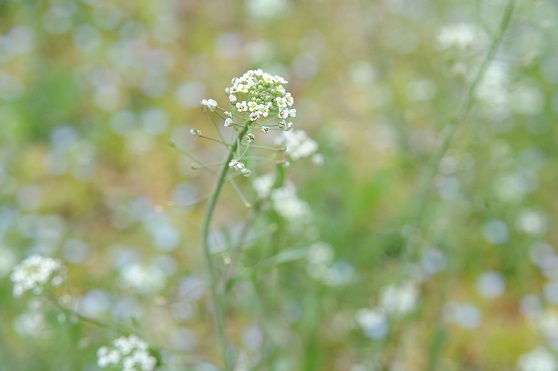 2013.3.18 028.JPG