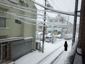 IMG_20130114_133422.jpg