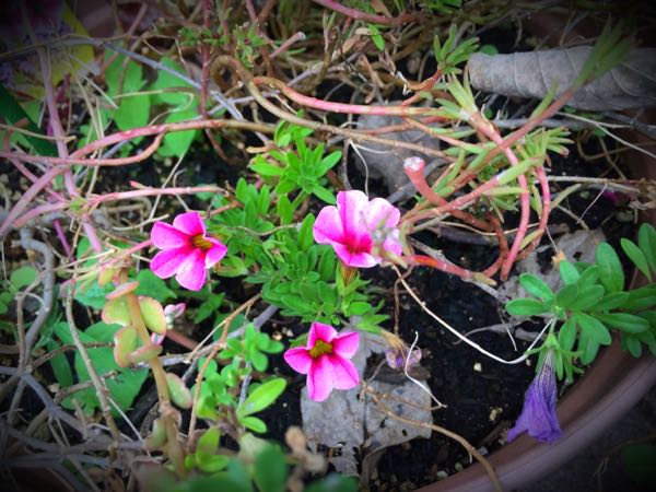 rblog-20151029145335-03.jpg