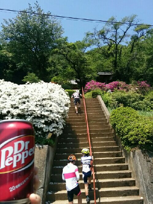 rblog-20150511162059-02.jpg