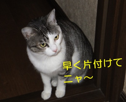20121126_3.jpg