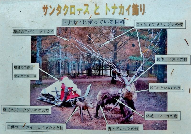 展示館前広場5